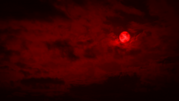 high-quality animated GIF Images Pack